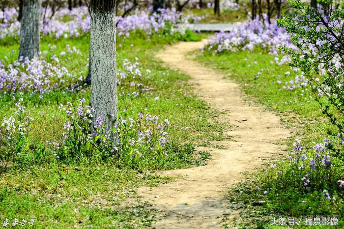 摄影爱好者必读摄影100个技巧,对摄影的好奇心和热爱还在吗