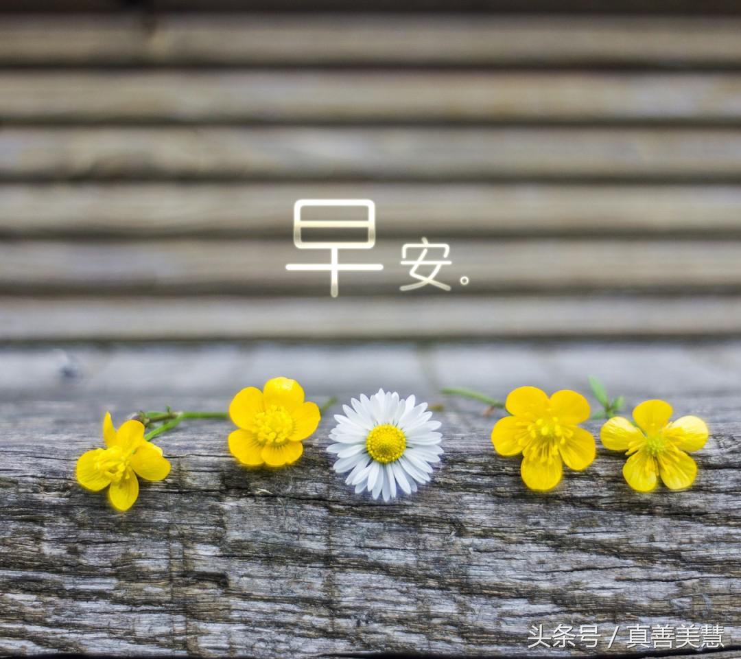 坐等群聊表情包图片大全,适合往群聊里发的表情包