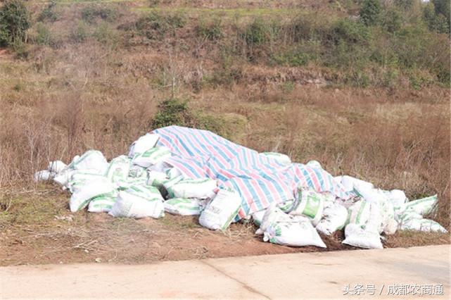 苦守荒山数十载，宝剑锋从磨砺出！