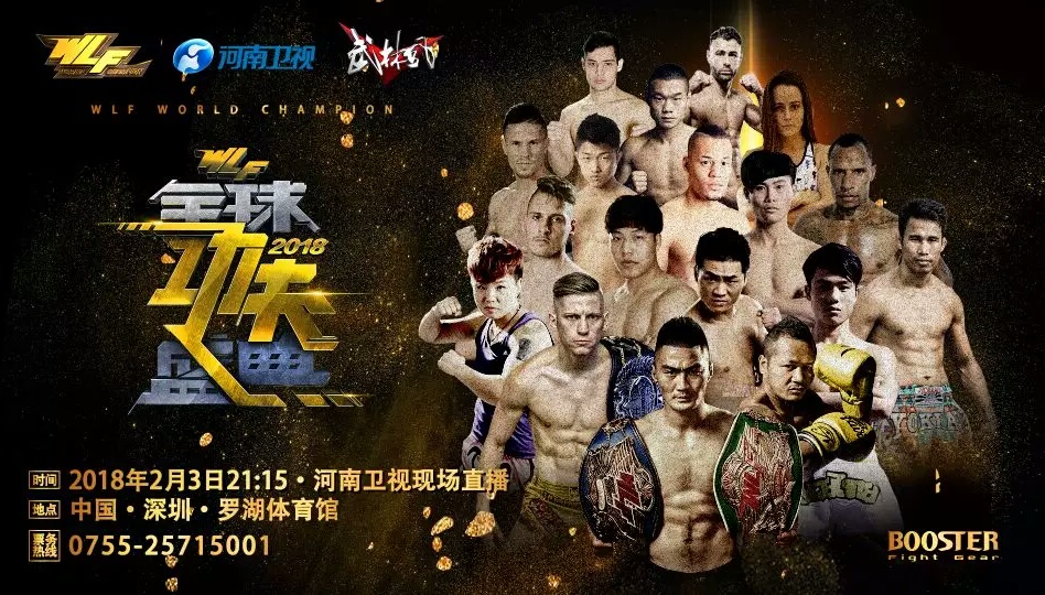 武林风终极盛典冠军,武林风罗根阿隆索对阵方便