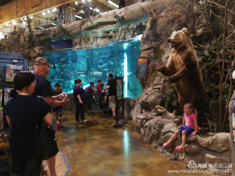 自旧金山至孟菲斯撷趣