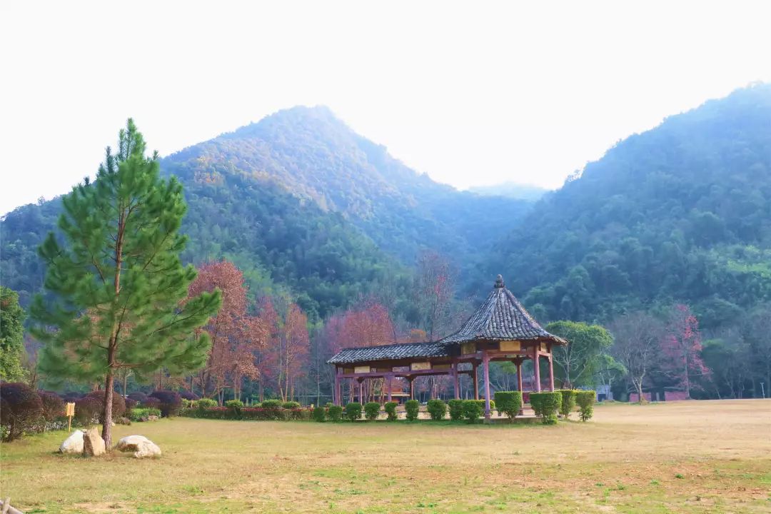 福利丨粤北越北，风景更美，邀你到丹霞灵溪过个红红火火东北年