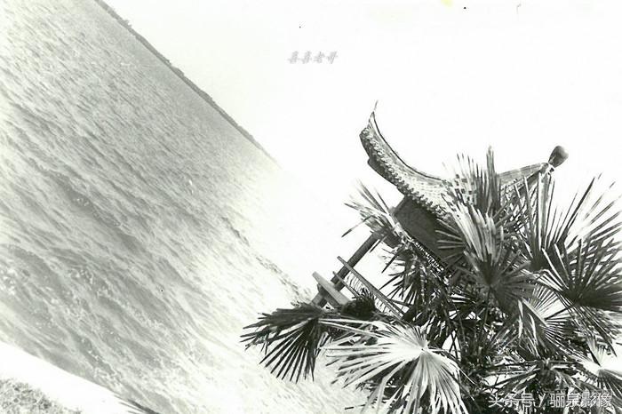 摄影爱好者必读摄影100个技巧,对摄影的好奇心和热爱还在吗