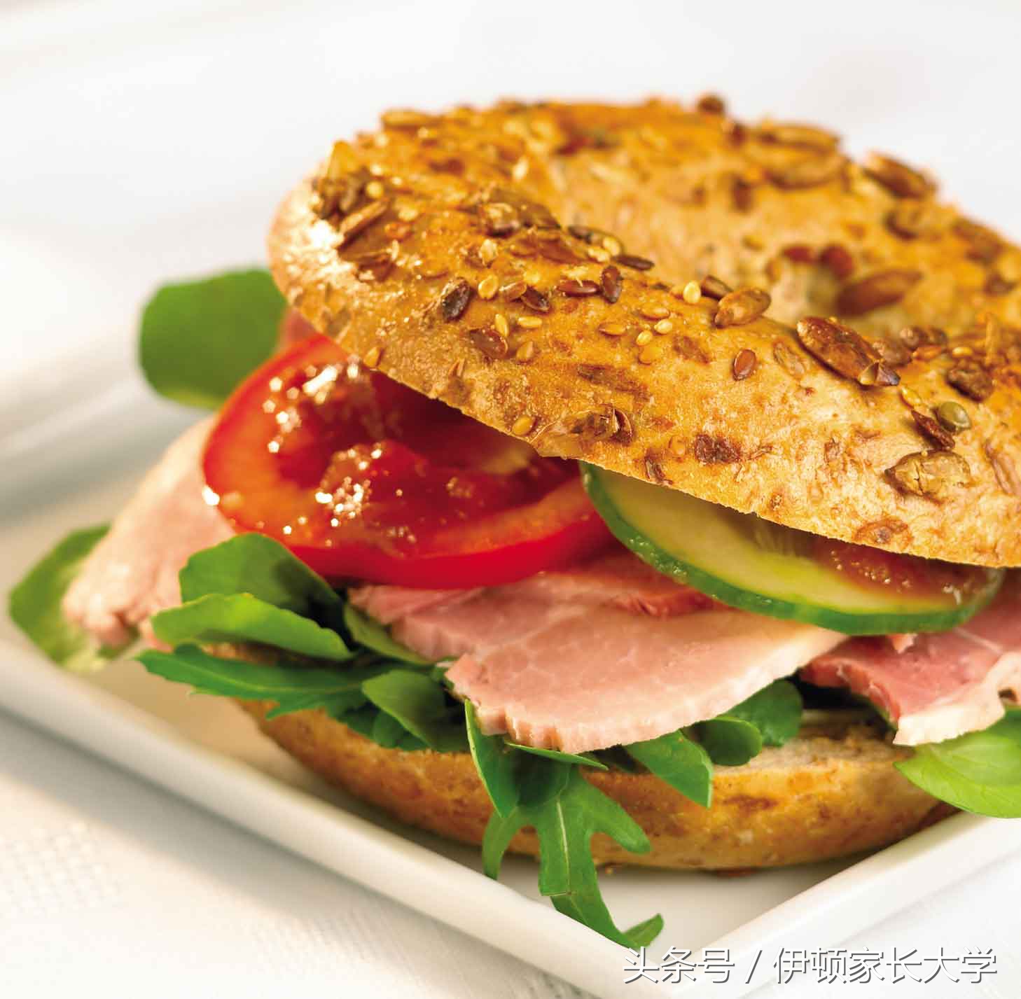 旅行青蛙最喜欢吃哪个食物,旅行青蛙都爱吃什么