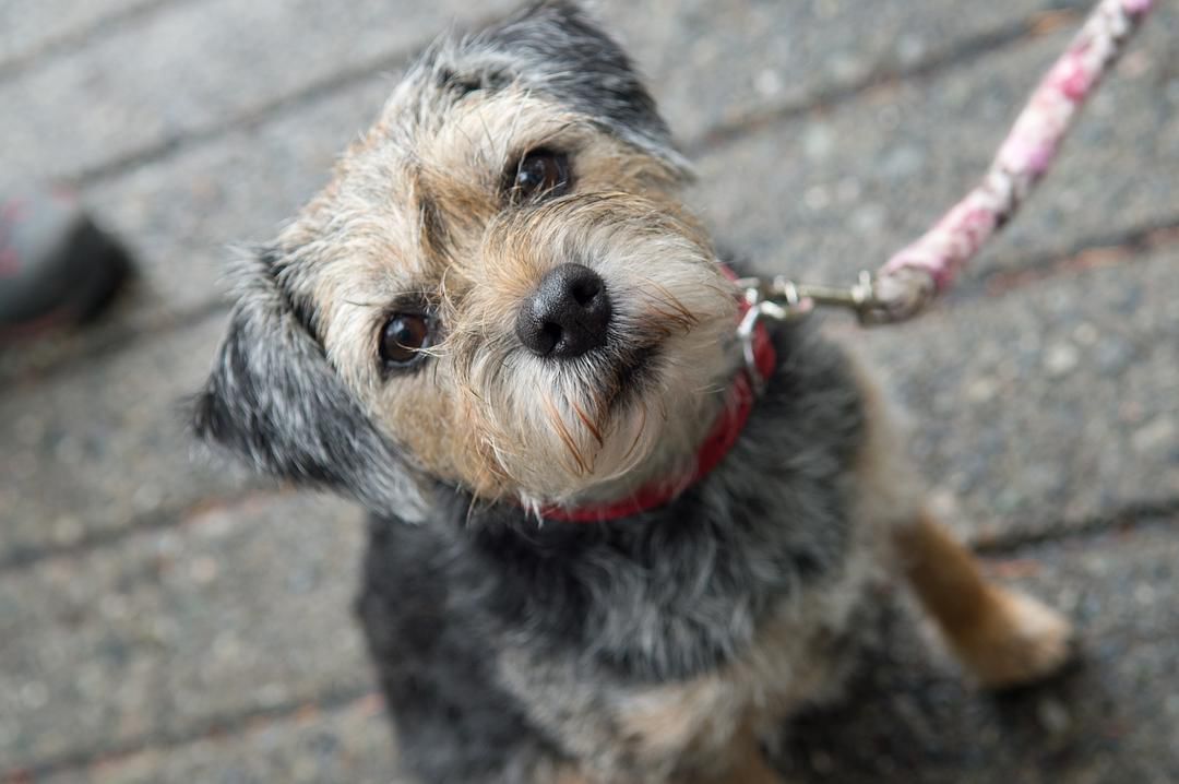 豆瓣评分8.6的感人电影,豆瓣评分8.6电影完整版