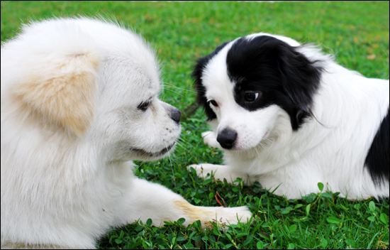 大学生毕业创业项目推荐排行榜,大学生创业项目有哪些想法思路