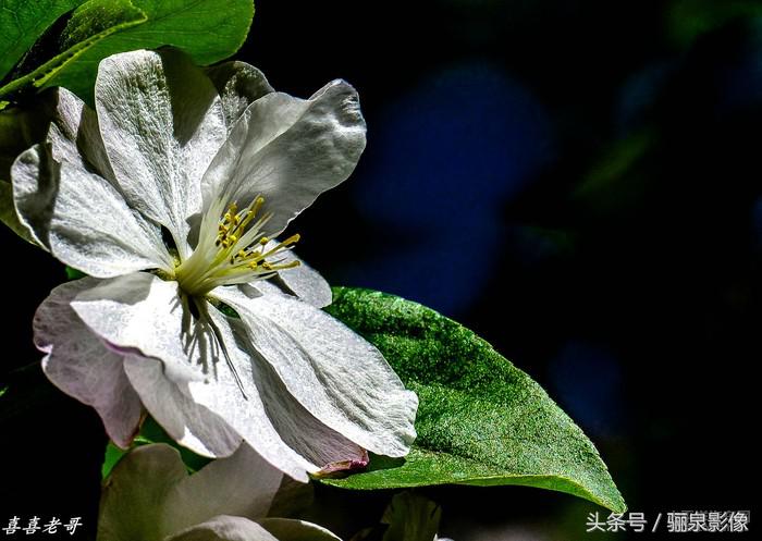 摄影爱好者必读摄影100个技巧,对摄影的好奇心和热爱还在吗