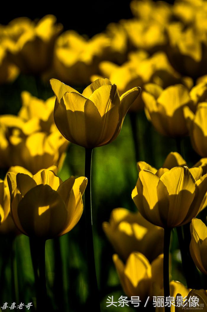 摄影爱好者必读摄影100个技巧,对摄影的好奇心和热爱还在吗