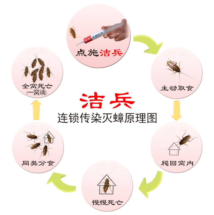 广东蟑螂药排行,蟑螂药哪种效果最好用