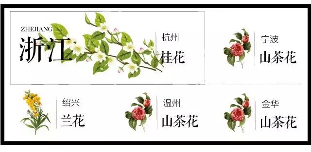 盘点史上最全中国各城市市花,中国各大城市的市花分别是什么