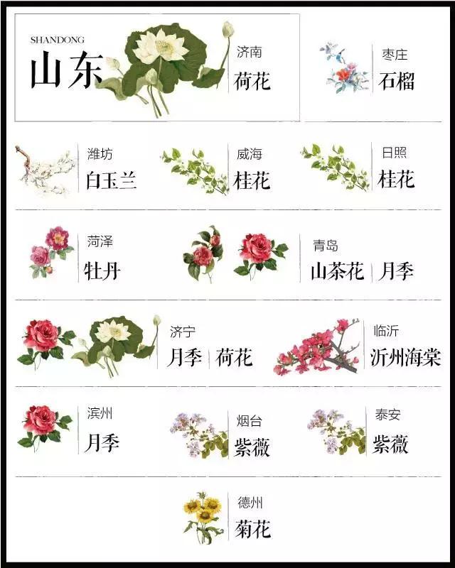 盘点史上最全中国各城市市花,中国各大城市的市花分别是什么