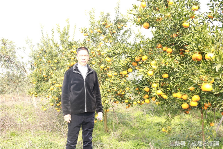 苦守荒山数十载，宝剑锋从磨砺出！