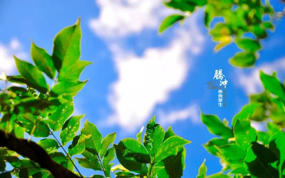 腾冲热海的感言,在腾冲感受幸福吗