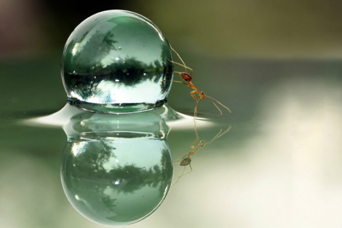 一叶一菩提全部歌词,音乐一花一叶一菩提