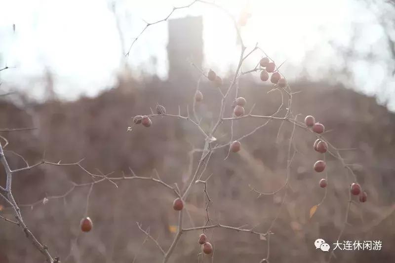大连古山长城,震惊世界的中国地下长城