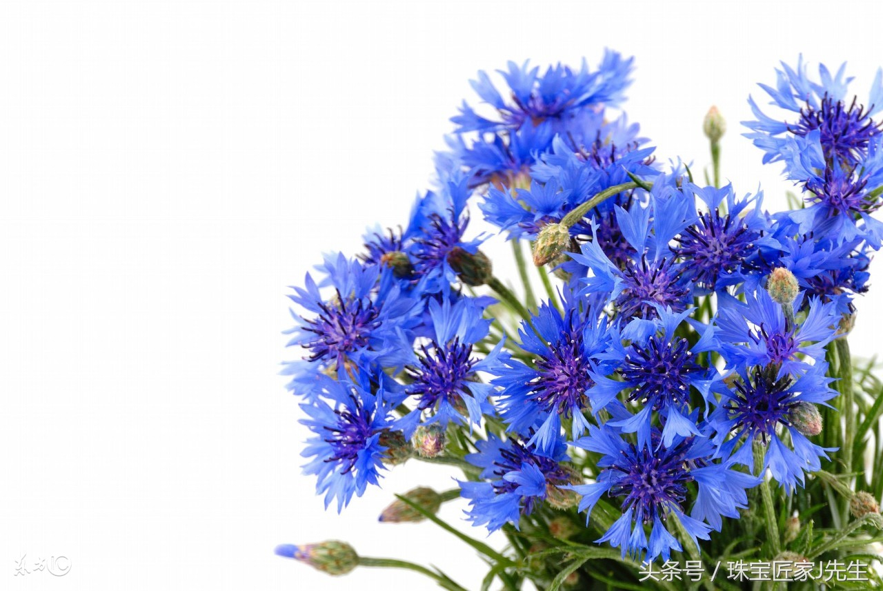 如何通过肉眼判断皇家蓝色蓝宝石,用放大镜怎么鉴定蓝宝石