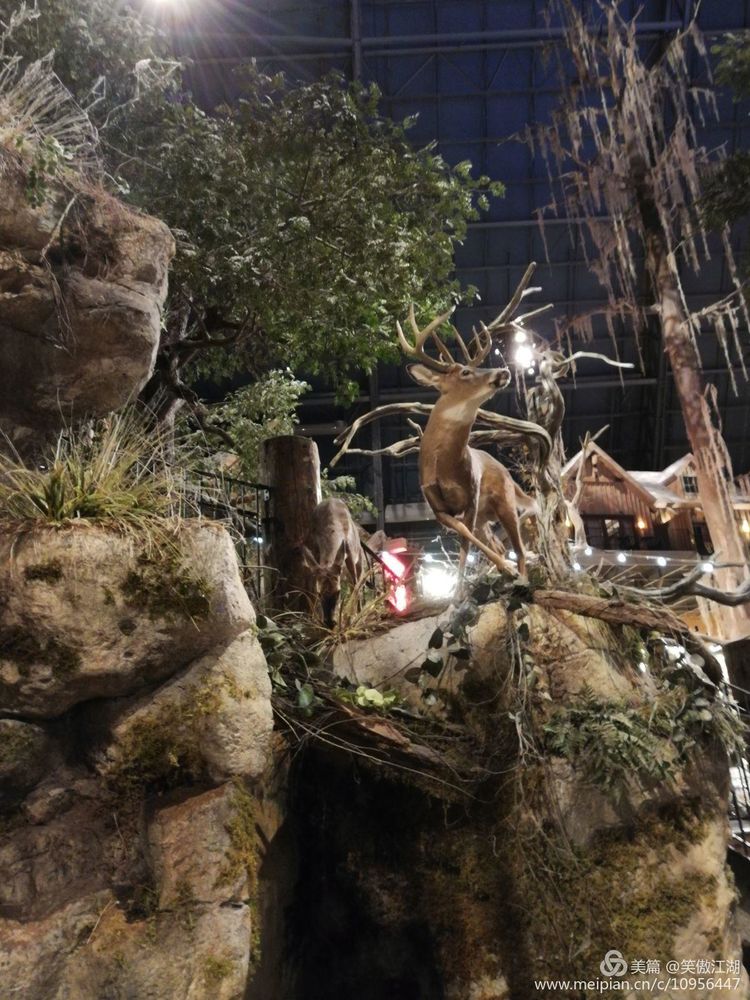 自旧金山至孟菲斯撷趣