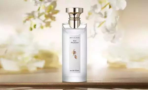 宝格丽白茶和伊丽莎白雅顿白茶,宝格丽伊丽莎白雅顿白茶