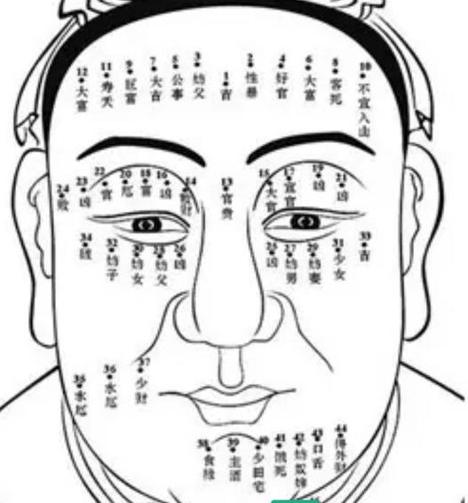 下巴有痣是劳碌痣吗,面相痣对应身体部位