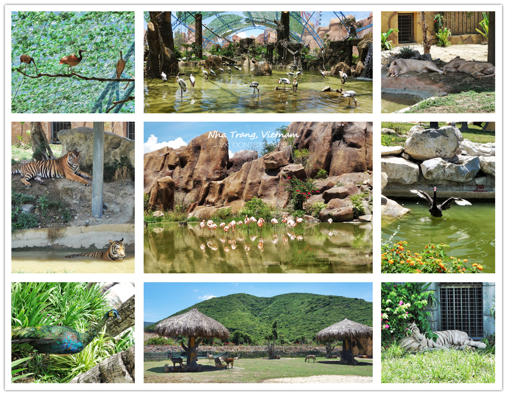 芽庄大海之旅,芽庄海上之旅