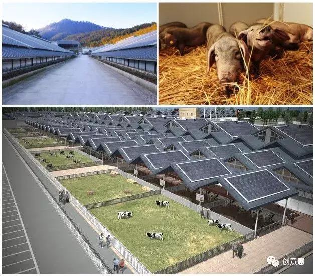 在超市养猪，屋顶办农场，新零售鼻祖Eataly搞大手笔了！