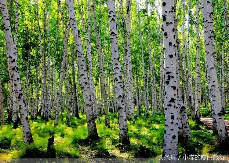 中国最美少数民族村寨,少数民族特点村寨民俗旅游