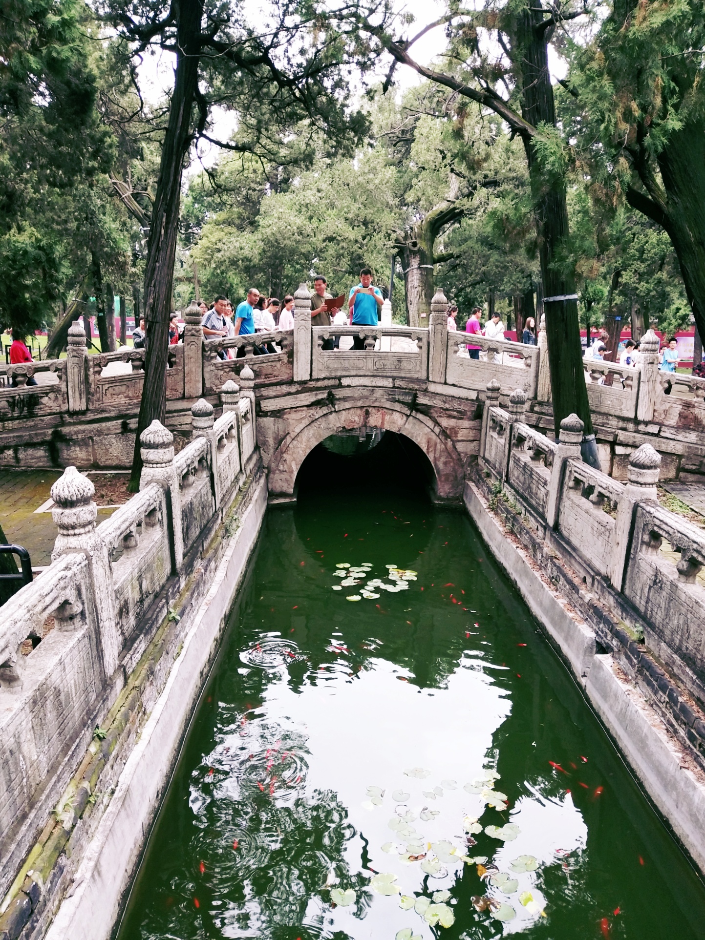 曲阜孔庙旅游攻略图片欣赏,曲阜孔庙景点简介图片高清