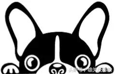 关于换头的看法,如果换头成功了会怎么样