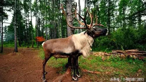 中国最美少数民族村寨,少数民族特点村寨民俗旅游