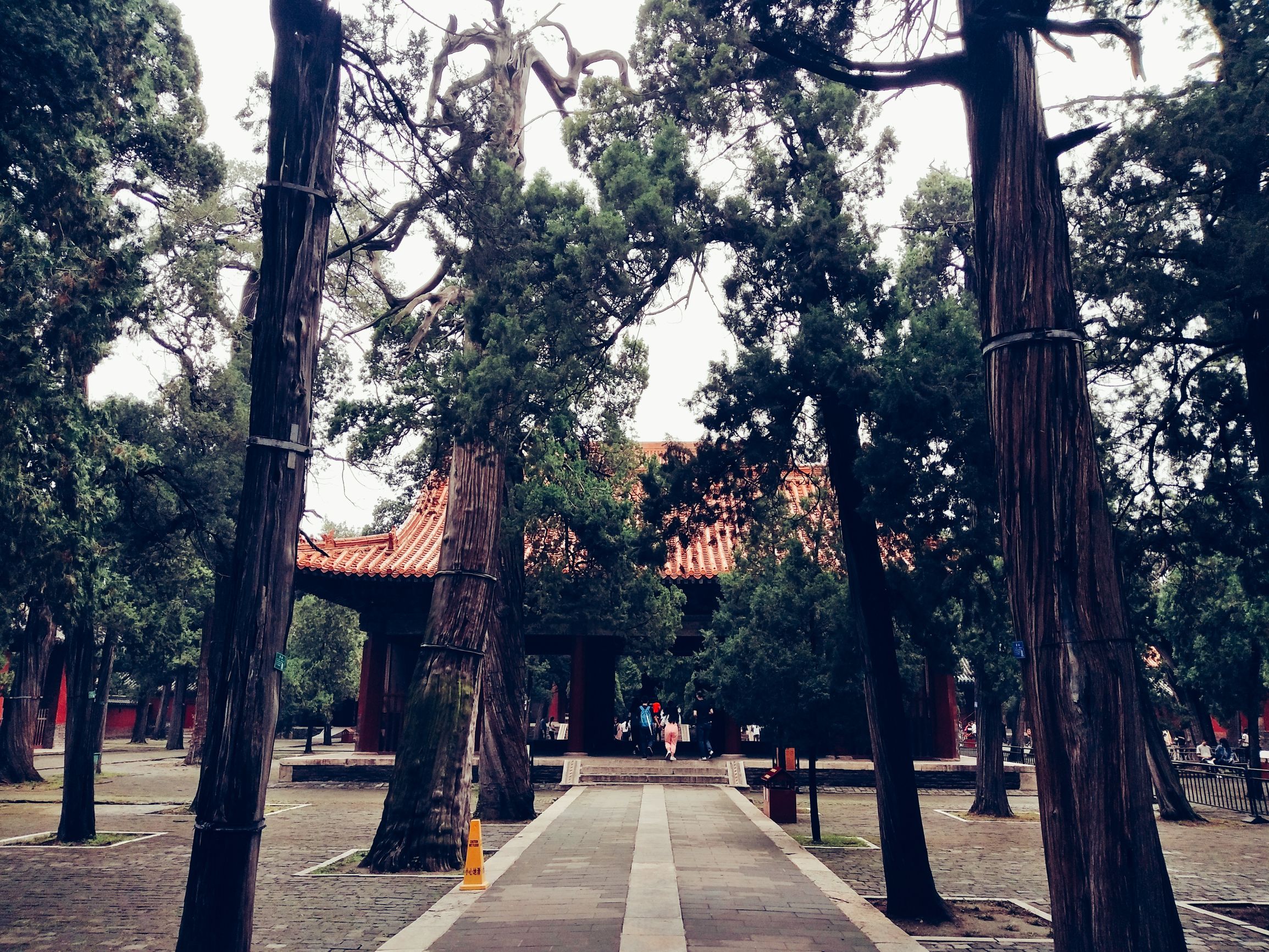 曲阜孔庙旅游攻略图片欣赏,曲阜孔庙景点简介图片高清