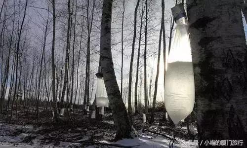 中国最美少数民族村寨,少数民族特点村寨民俗旅游