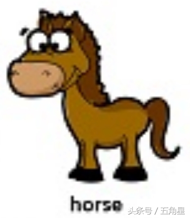 各种动物的英文单词视频,2-8岁儿童学动物英文单词