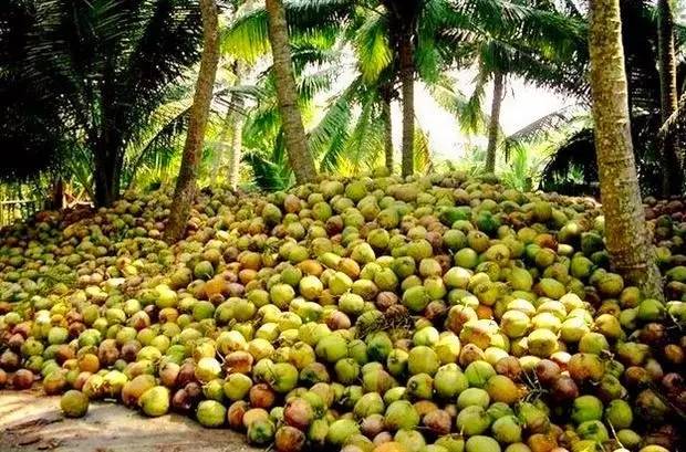 从三亚自驾海口沿途游玩最佳路线,海口自驾三亚旅游路线图攻略