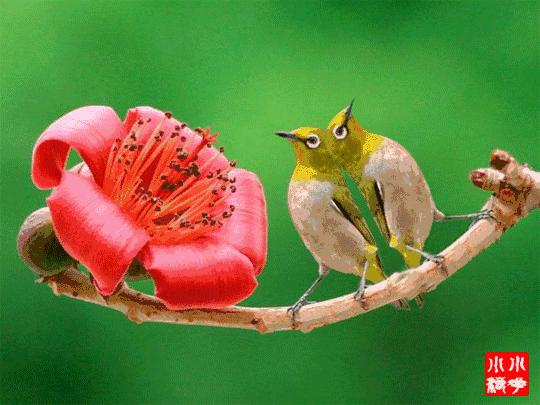 二十不惑三十而立四十五十知天命,关于三十而立四十不惑五十知天命