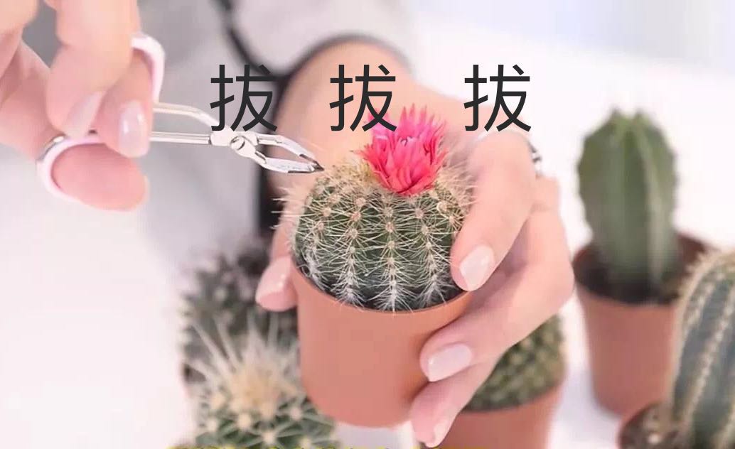 今日颜值主题：女汉纸的痛你们不懂，烦心的小胡子其实很容易去除