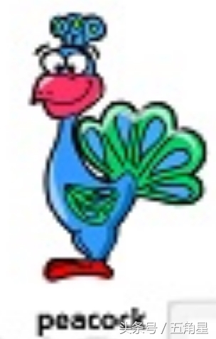 各种动物的英文单词视频,2-8岁儿童学动物英文单词