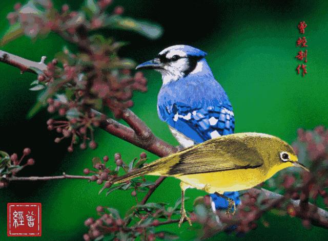 二十不惑三十而立四十五十知天命,关于三十而立四十不惑五十知天命