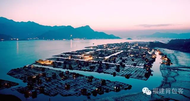 你们养的蛙现在回家了吗,养的蛙都去哪里了