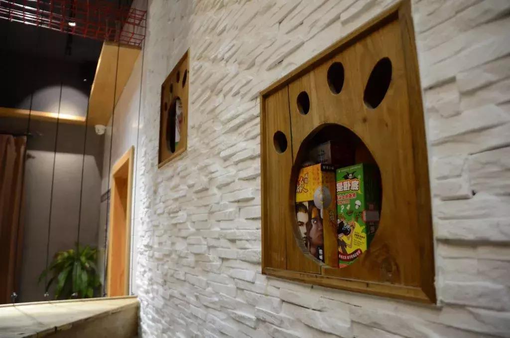 杭州可以撸猫的店,杭州撸猫地方推荐