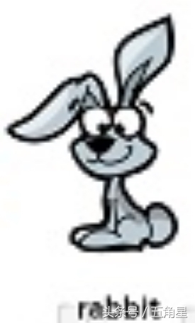 各种动物的英文单词视频,2-8岁儿童学动物英文单词