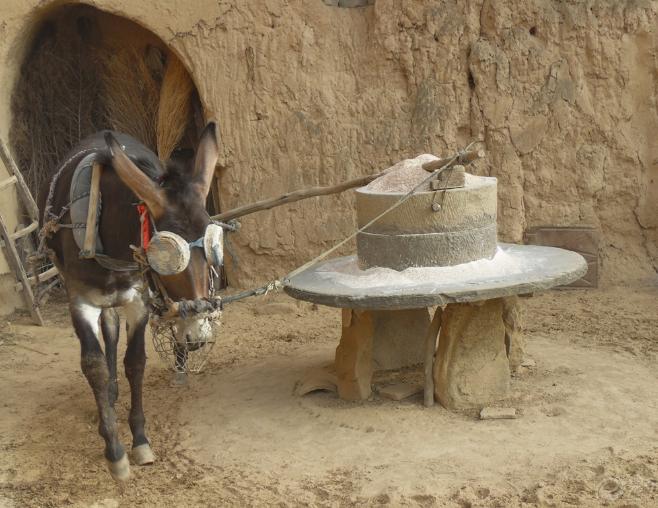 茅侃侃自杀拷问创业者，什么是创业？什么是成功？