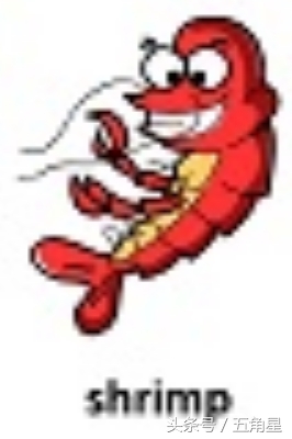 各种动物的英文单词视频,2-8岁儿童学动物英文单词