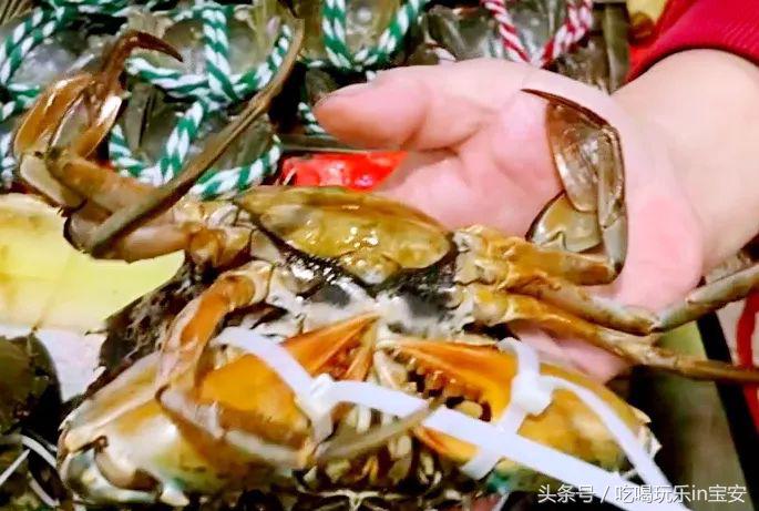 路林海鲜市场螃蟹,海头海鲜批发市场螃蟹