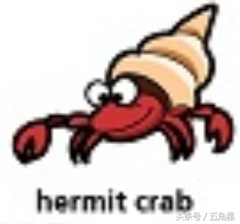 各种动物的英文单词视频,2-8岁儿童学动物英文单词