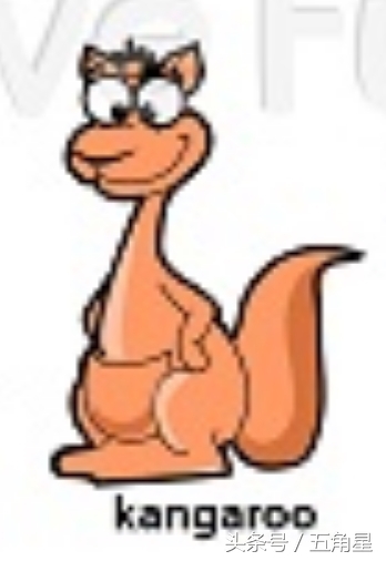 各种动物的英文单词视频,2-8岁儿童学动物英文单词