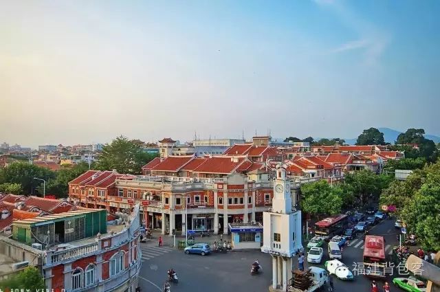 你们养的蛙现在回家了吗,养的蛙都去哪里了