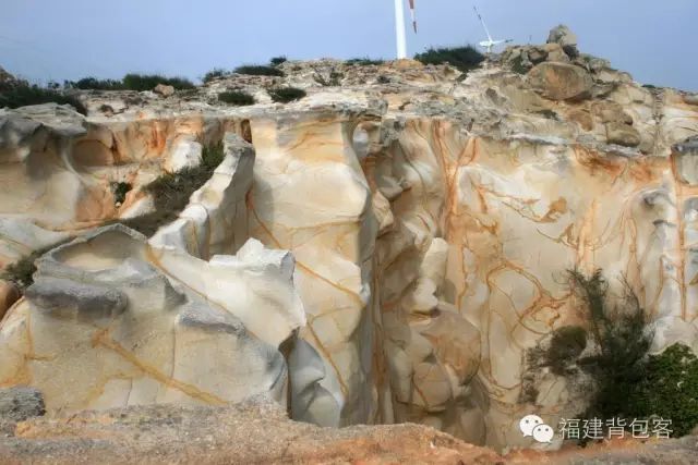 你们养的蛙现在回家了吗,养的蛙都去哪里了