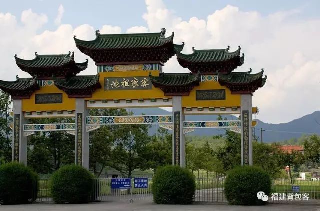 你们养的蛙现在回家了吗,养的蛙都去哪里了