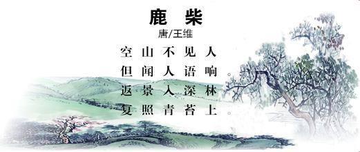 唐诗七言绝句大全500首,唐诗励志五言绝句大全