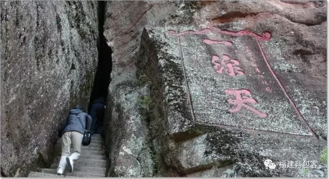 你们养的蛙现在回家了吗,养的蛙都去哪里了